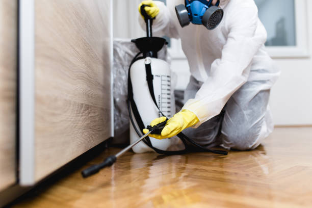 Best Ant Control Services  in Chatmoss, VA