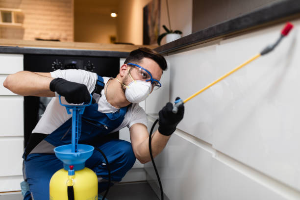Best Residential Pest Control  in Chatmoss, VA