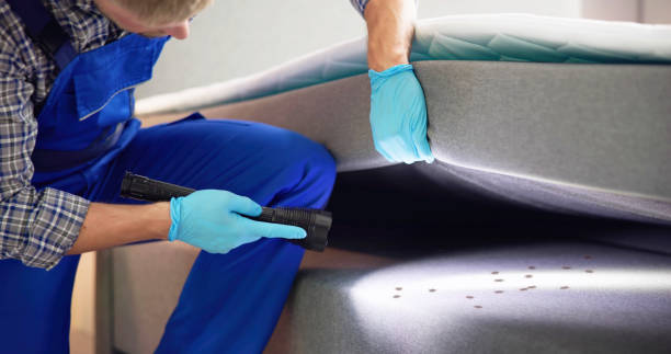 Best Pest Inspection Near Me  in Chatmoss, VA
