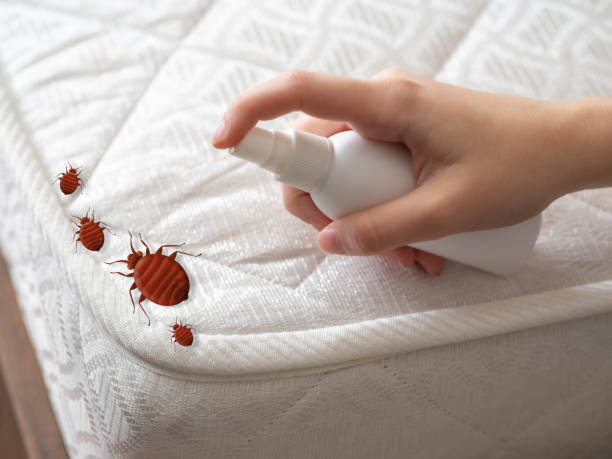 Best Local Pest Control Services  in Chatmoss, VA
