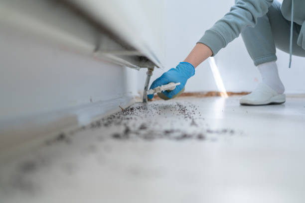 Best Pest Control Near Me  in Chatmoss, VA